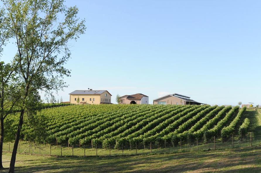 Villa Pianderna Agriwellness Scandiano Exterior foto